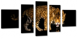 pantera, kot, koty, ctki, czarne to, jaguar, dziki, dzikie zwierzta