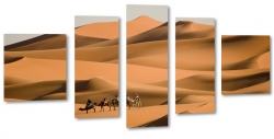 sahara, pustynia, wielbd, dromader, piasek, wydma, karawana,