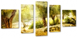 gaj oliwny, drzewa, rzeka, zielony, licie, promienie, oliwkowy 