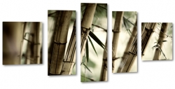 bambus, pdy, licie, gazie, las bambusowy, drewno, 
